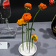Illustration for article titled Three Clever Flower Vases To Hold You Out Until the Thaw